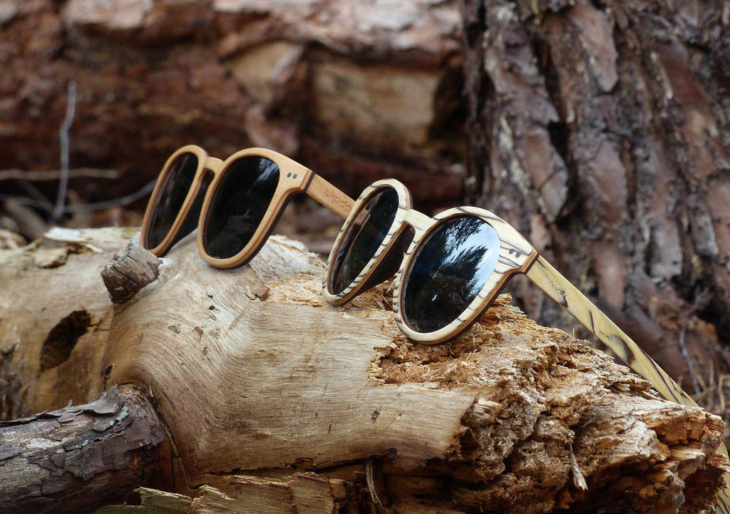 round pantos and pantos wooden sunglasses from the brand eKodoKi laying on a broken branch in the forest, used as desktop banner