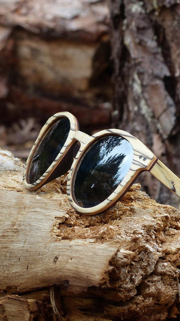 round pantos wooden sunglasses from the brand eKodoKi laying on a broken branch in the forest, used as mobile banner