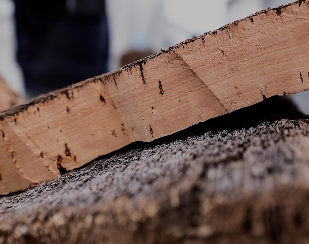 section from a cork oak tree bark revealing natural cork, as banner for an eKodoKi blog article