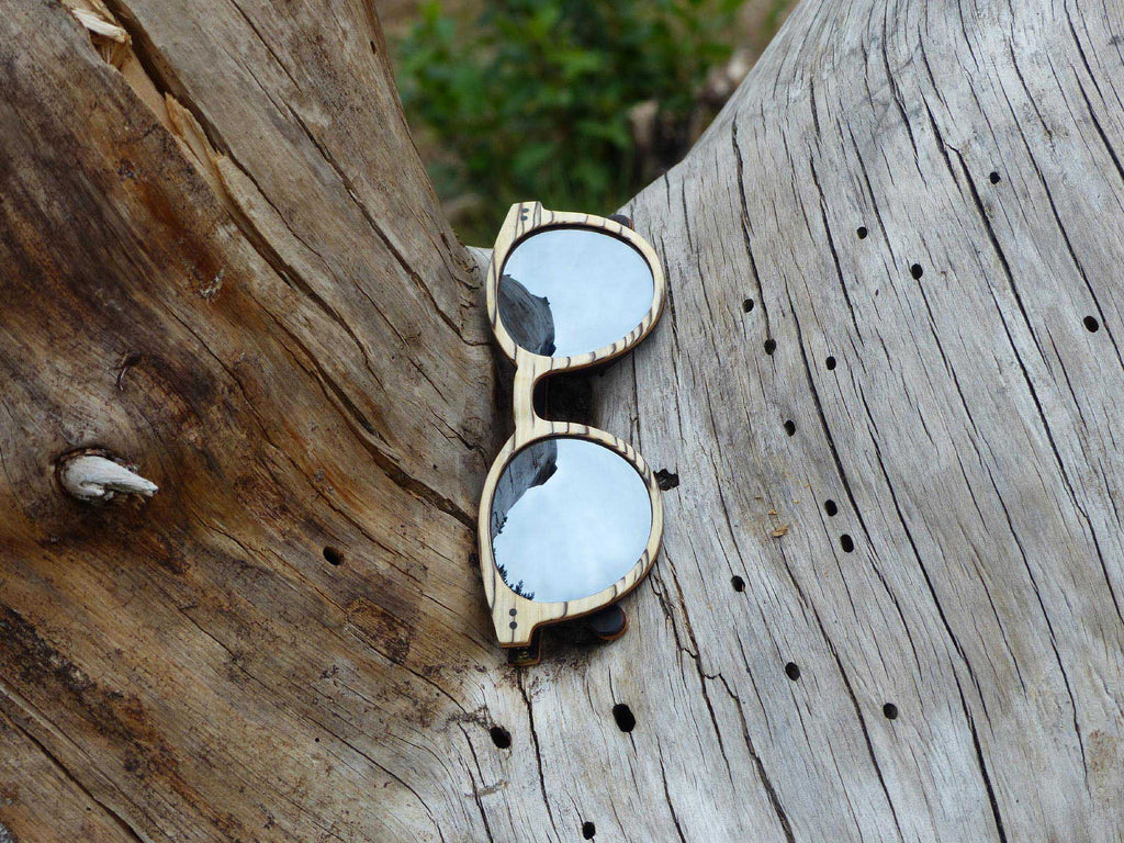 wooden sunglasses from the brand eKodoKi laying on a piece of wood in nature, used as desktop banner