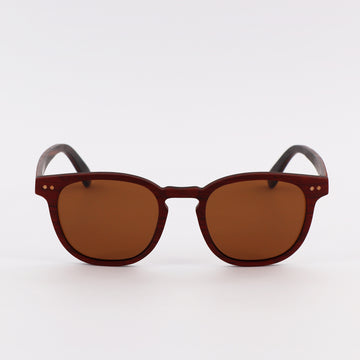 wooden sunglasses pantos style redwood wood brown lenses front view eKodoKi COSMO